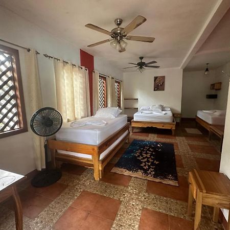 Hotel Don Quichotte 托尔图格罗 外观 照片
