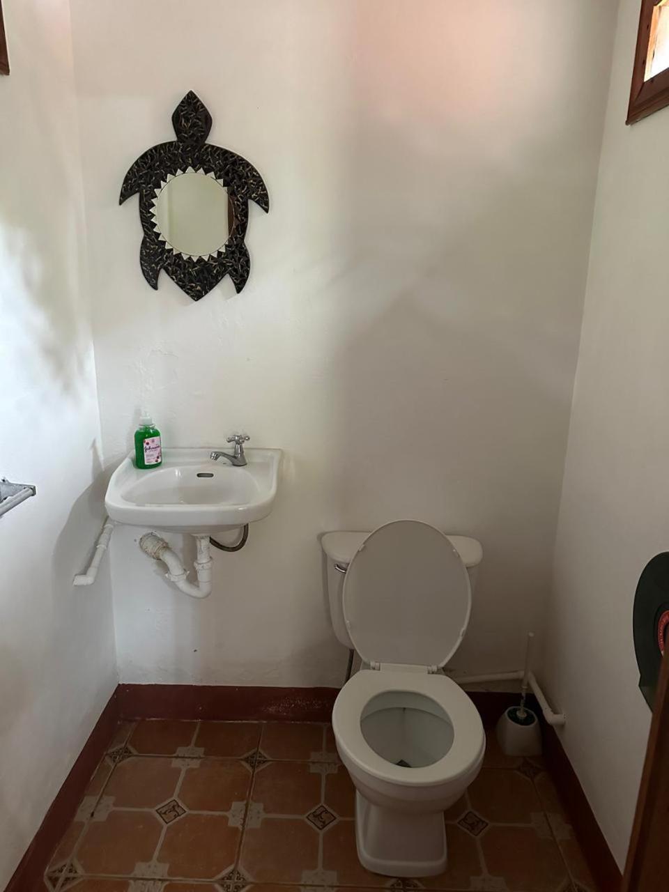 Hotel Don Quichotte 托尔图格罗 外观 照片