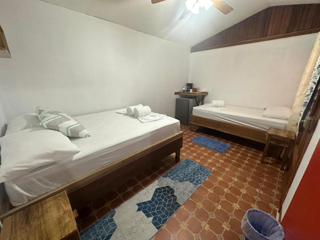 Hotel Don Quichotte 托尔图格罗 外观 照片